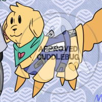 Thumbnail for CB-013